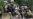 Curfew Lifted In South Kyrgyzstan
