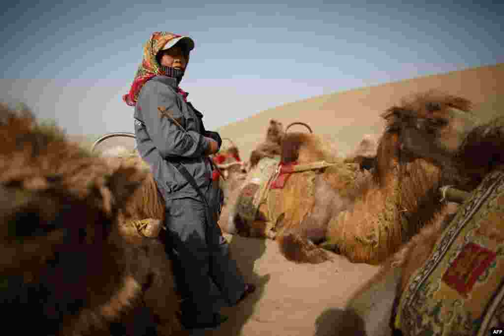 A guide waits for tourists next to camels near Yueyaquan Crescent Lake in Dunhuang in China&#39;s northwestern Gansu Province. (AFP/Ed Jones)