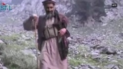 Dhjetë vjet nga vrasja e Osama bin Laden