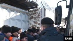 Russian police officers detained alleged illegal migrants during a raid at the vegetable warehouse in the Biryulyovo-Zapadnoye district of Moscow on October 14.