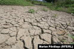 Teren grav afectat de secetă chiar lângă o stație de irigații din Călărași. Există țărani care plâng la propriu în fața pământului crăpat.