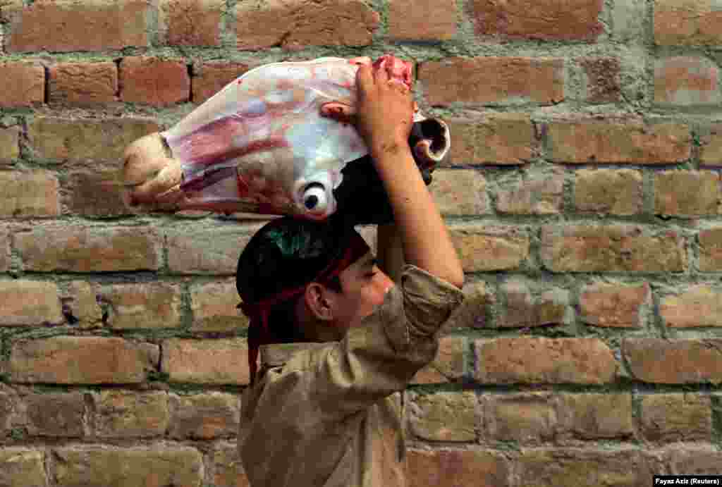 A worker carries a cow&#39;s head at a slaughterhouse in Peshawar, Pakistan. (Reuters/Fayaz Aziz)