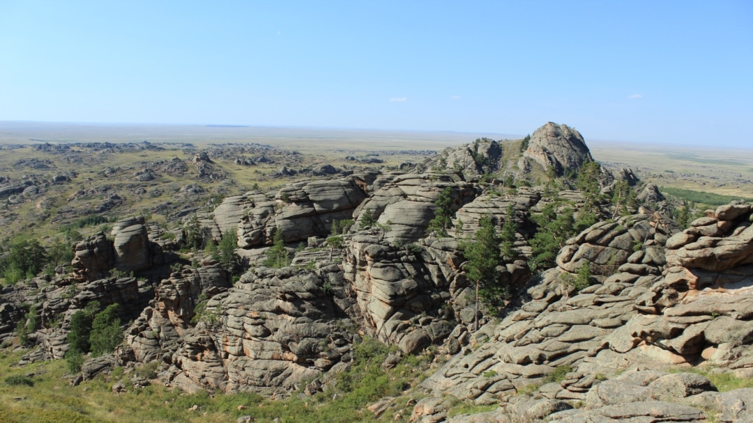 Алексис Техас дивандағы ит стилі