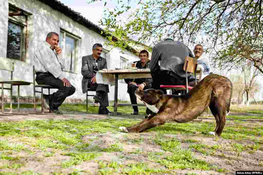 Sabirabadın Axısxa kəndində çayxana. 