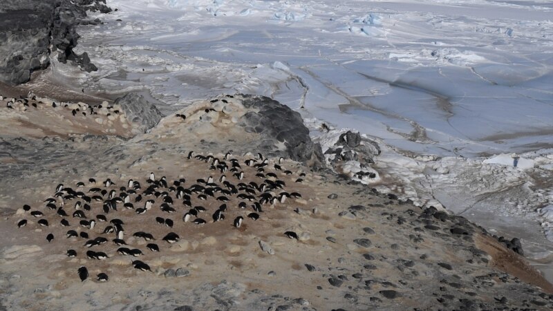 Потопло од Дојран – на Антарктикот измерени 20,75 степени 