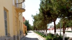 Türkmenabatlylar kölegesiz kösenýärler