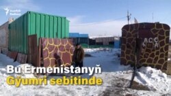 Ermenistan: Terk edilen haýwanat bagy