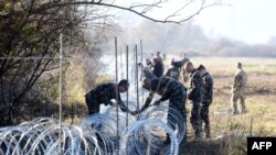 Военнослужащие Словении возводят ограждение у границы с Хорватией. 12 ноября 2015 года. 