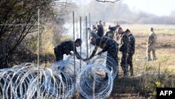 Военнослужащие Словении возводят ограждение у границы с Хорватией. 12 ноября 2015 года.