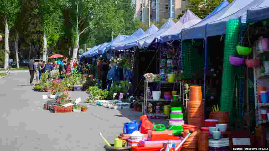 Жармаңкеде үй шартында өстүрүлгөн гүлдөрдүн 200дөн ашык түрүн көрүүгө болот.&nbsp;