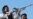 Pakistan Taliban Deny Leader Killed