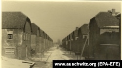 The lecture's aim was to prepare teachers for lessons on the history of the Holocaust and the Red Army's liberation of prisoners at the Auschwitz concentration camp in 1945.