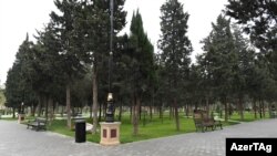 Neftçilər parkı