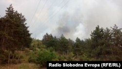 иллюстрационное фото