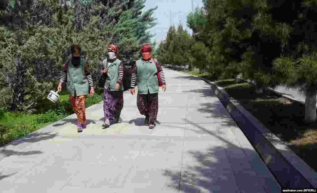 Kommunal hojalygynyň bagban&ccedil;ylyk b&ouml;l&uuml;miniň işg&auml;rleri. Aşgabat