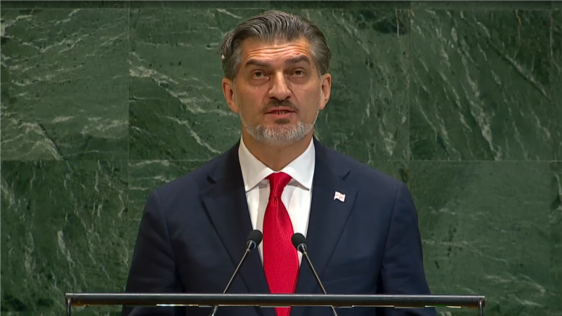 მზაობა დიალოგისთვის „უკლებლივ ყველა ქვეყანასთან“ - ყაველაშვილის სიტყვა გაეროს გენერალურ ასამბლეაზე