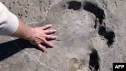 Вчені виявили у провінції Сан-Хуан, за 1100 кілометрів на захід від столиці Аргентини Буенос-Айреса, рештки виду, якому 200 мільйонів років