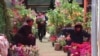 تأثیر ویروس کرونا بر بازار فروش گل‌های تازه در کابل