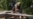 Ukrainian serviceman uses starlink or drone videograb 