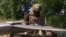 Ukrainian serviceman uses starlink or drone videograb 