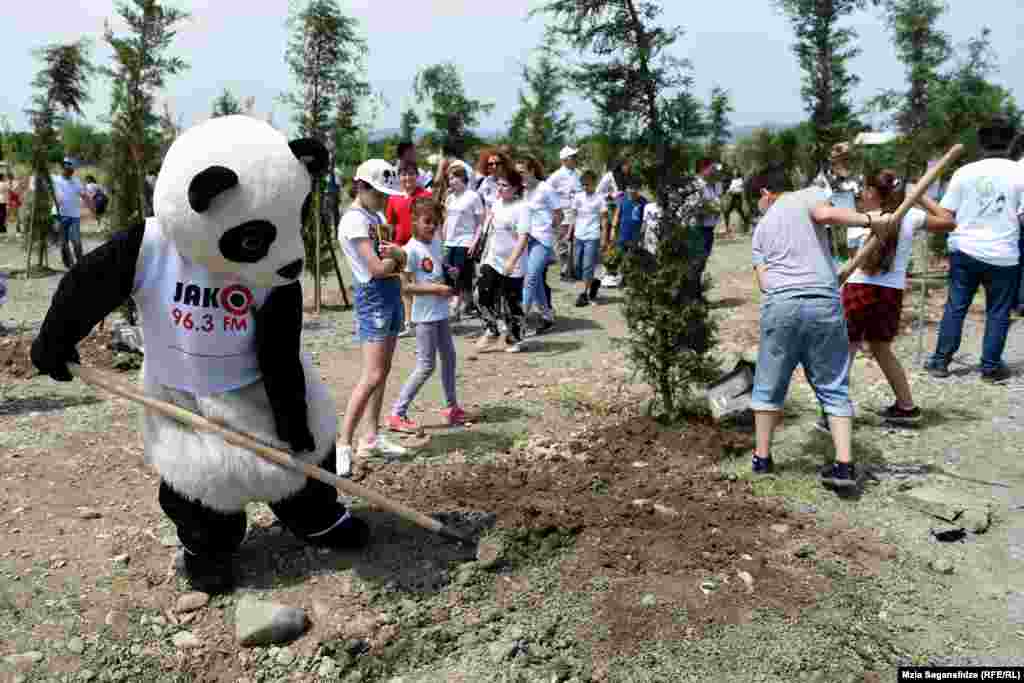 ნერგების ფესტივალი უკვე სამი წელია ტარდება. მისი მიზანი გარემოზე ზრუნვა და ჩინელი ხალხის სახელით საქართველოში გამწვანების ხელშეწყობაა.