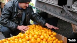 Ежегодно в Россию поставляются порядка 25 тысяч тонн абхазских цитрусов