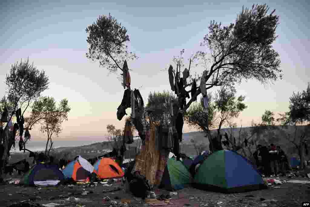 Refugees and migrants stand among tents under trees hung with laundry in a field outside the Moria registration center on the Greek island of Lesbos. (AFP/Aris Messinis)