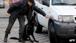 An Albanian policeman checks a car with a dog at a World Cup qualifying match in Elbasan between Albania and Israel in 2016.