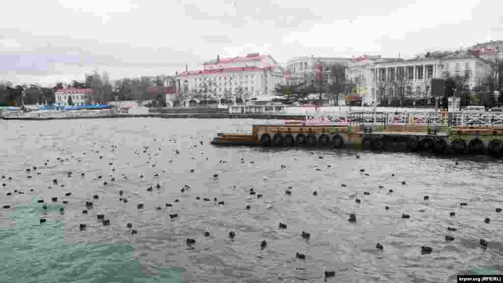 Papiy ve çağalalar Artilleriyskaya limanınıñ parom iskelesi yanında saqlandı