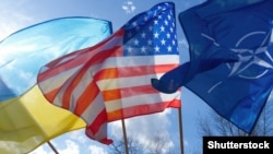 МИД: «Только Украина и члены НАТО имеют право решать вектор дальнейшего развития своих отношений, в том числе и в вопросе обретения Украиной членства в Альянсе»