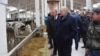 Аляксандар Лукашэнка наведвае кароўнік малочнага комплексу «Сьліжы» ў Шклоўскім раёне, 26 сакавіка