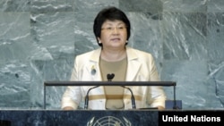 Kyrgyz President Roza Otunbaeva speaking at the UN.