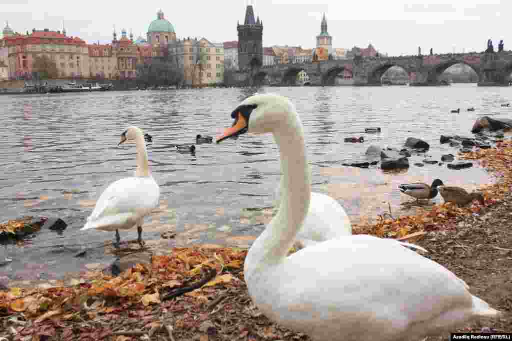 Czech Republic - Autumn in Prague. Photos by RFERL Azeri Service correspondent Rovshan Gambarov