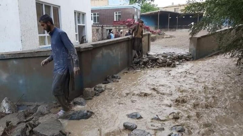 چارواکي: سیلاب ځپلو سره د مرستې لپاره میلیونونه افغانۍ ځانګړې شوې