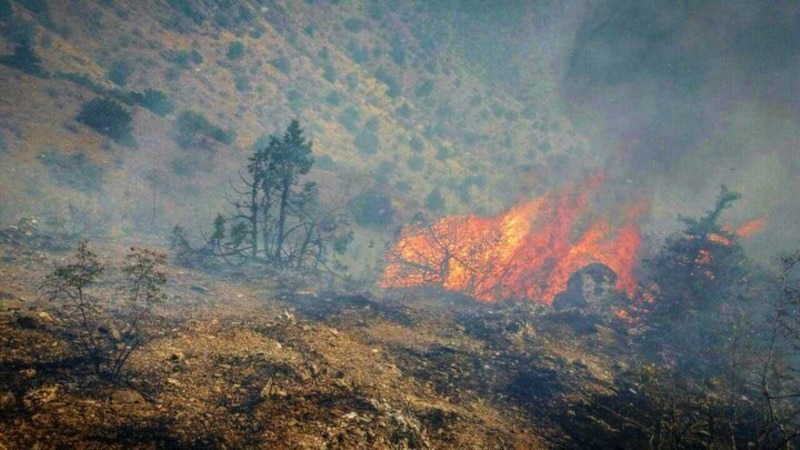 آتش‌سوزی در ۳۰ هزار هکتار از جنگل‎های رودبار 