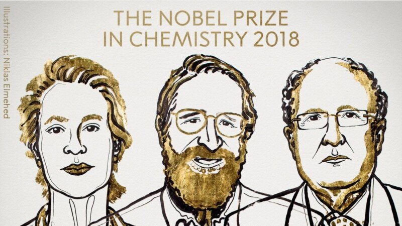 Химия өлкәсендә Нобель бүләге ферментлар өйрәнү өчен бирелә