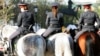 В Саратове завели дело после гибели от голода полицейских лошадей