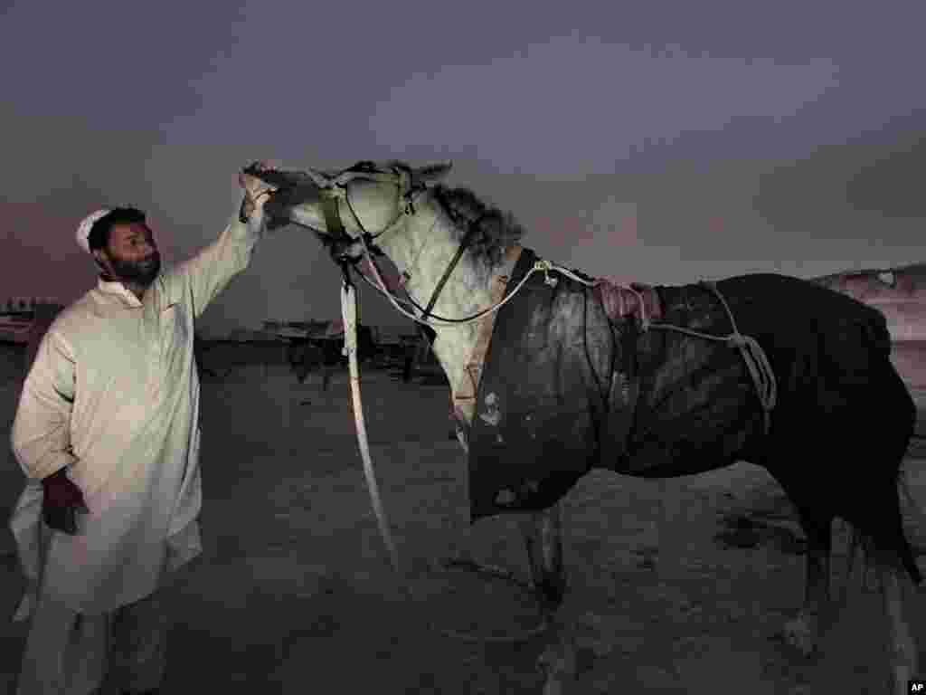 Thorab Ahmed tends to his horse after a day's work outside his house in Kabul, Afghanistan on July 19.Photo by Dar Yasin for AP