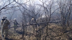Спасатели тушат лесной пожар под Феодосией, 6 апреля 2020 года