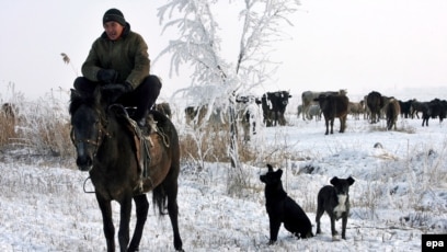 Комедия әйелінен порно Әйелдің сумен оргазмы