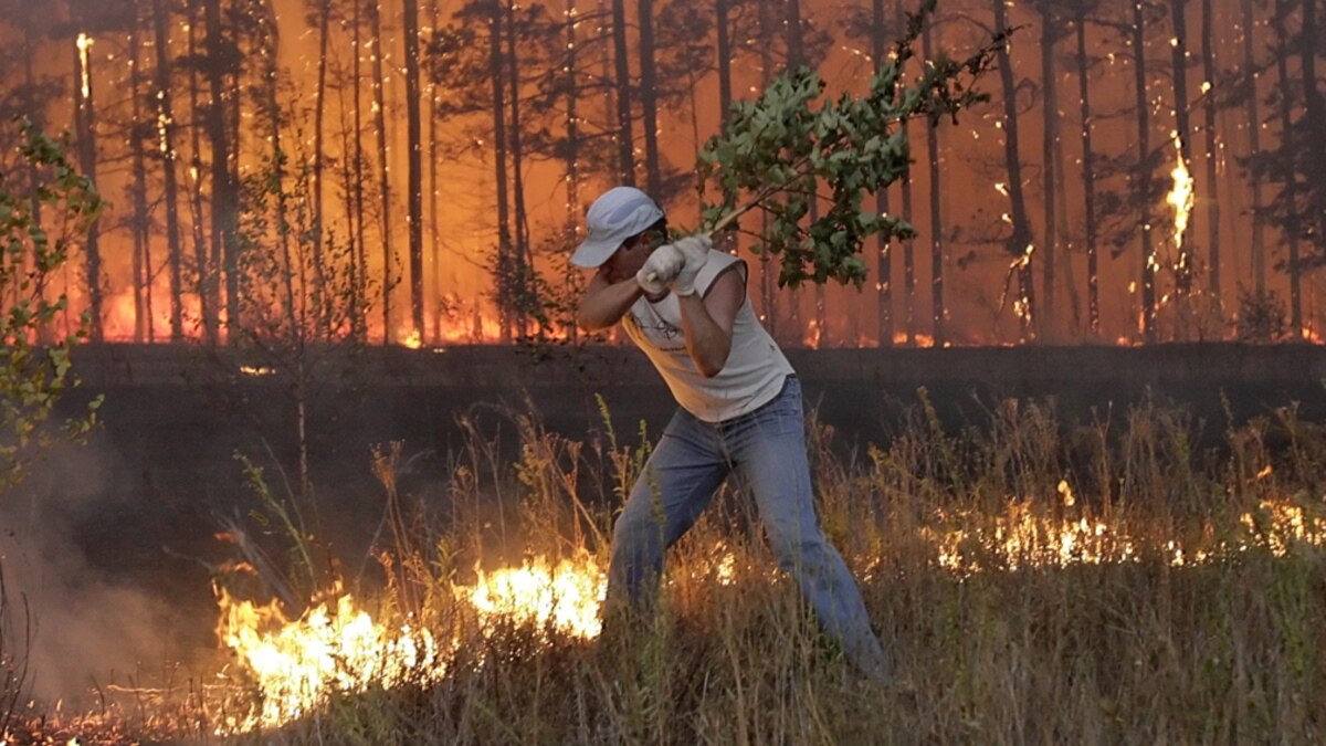 Захлестывание огня по кромке пожара ветками. Захлестывание кромки. Засыпка кромки пожара грунтом. Захлестывание кромки. Лесной пожар ревда 2021.