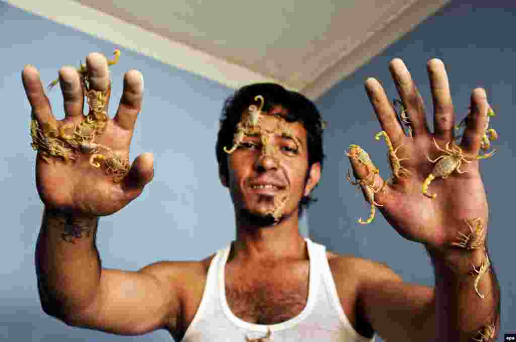 Amin Shirzad poses for photographs with his pet scorpions at his home in Mazar-e Sharif, Afghanistan. (epa/Sayed Mustafa)