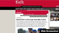 Вебсайт Международной федерации за права человека