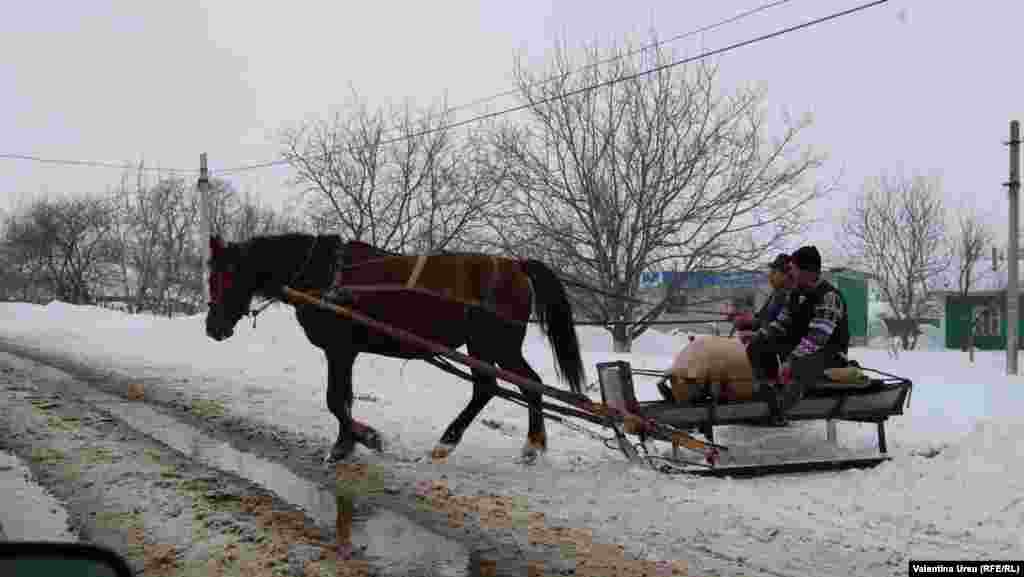 Moldova, Drokiya kəndi