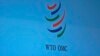 الکوزی: افغانستان از عضویت "WTO" استفاده لازم نکرده‌است