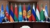 Украина на саммите в Бишкеке выступила против передачи России председательствования в СНГ