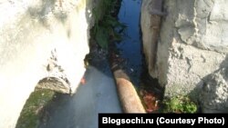 Ливневая канализация Сочи, забитая нечистотами и впадающая в Черное море. Фото с сайта "БлогСочи".