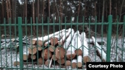 Вырубка леса (иллюстративное фото)