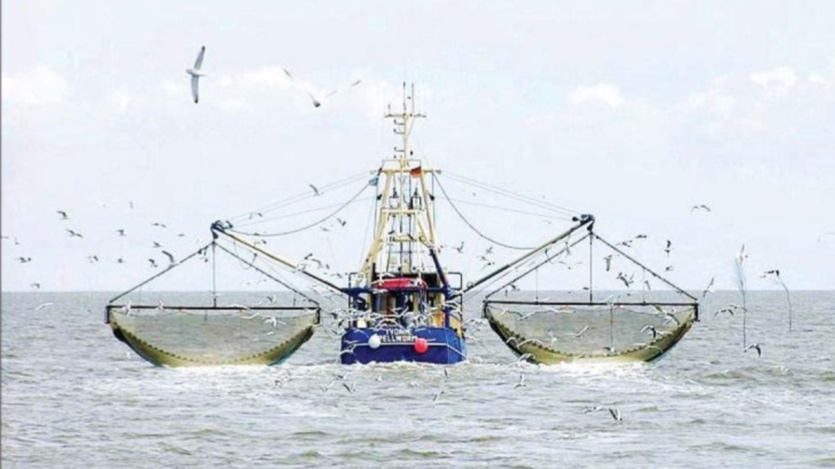 Chinese Fishing Trawlers Cleaning Out The Persian Gulf, Iran Daily Reports