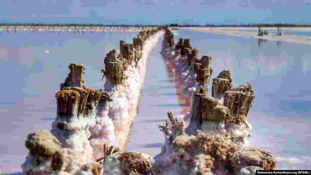 Деревянными столбиками разграничены бассейны, в которых происходит добыча соли